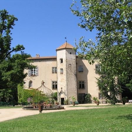 Chateau De La Chassaigne Appartement Thiers Kamer foto