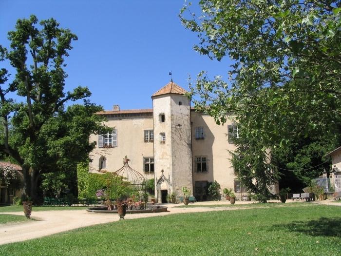 Chateau De La Chassaigne Appartement Thiers Kamer foto